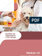Auxiliar de Veterinário e Pet Shops - Módulo 13