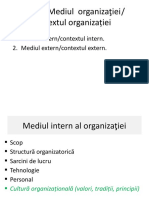 TEMA. Mediul de Activitate