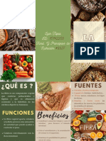 NUT Brochure Fibra