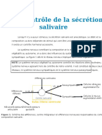 Physiologie Digestive