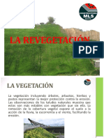 Revegetación 2018