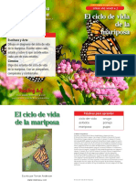 Ciclo de Vida Mariposas