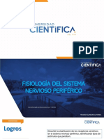 Teoría 02 Fisio. Fisiología Del Sistema Nervioso Periférico. Neurotransmisión II