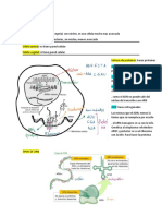 ICFES CIENCIAS NATURALES