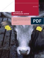 Identificación Animal FAO