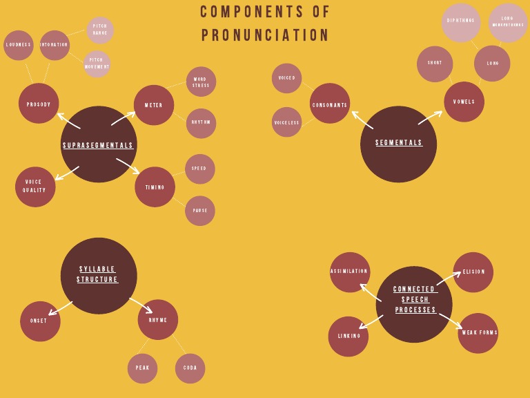 Components of Pronunciation Explained | PDF