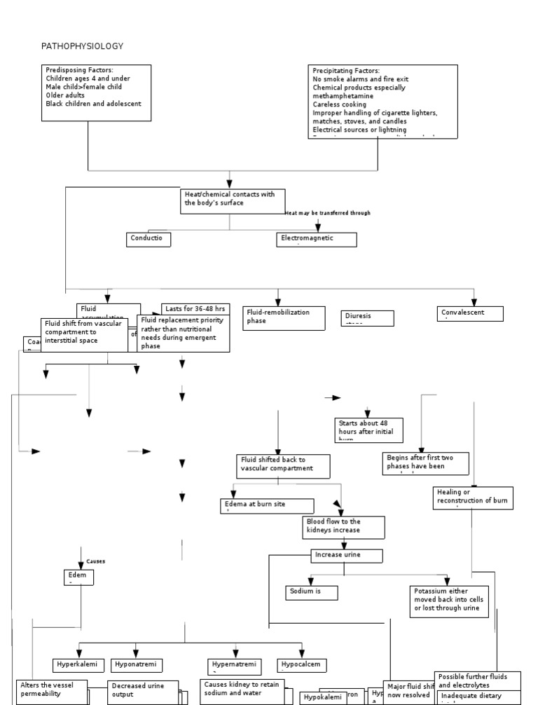 Pathophysiology of Burn Injury (1) DV | PDF | Burn | Edema