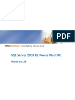 PowerPivot-RC