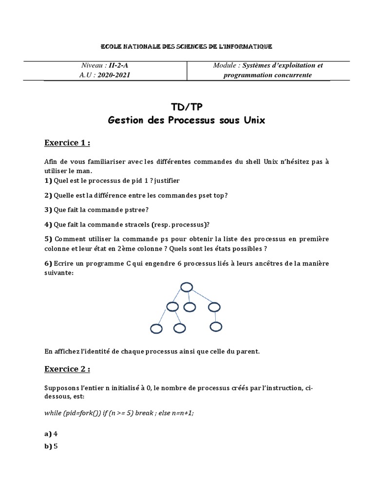 TD 1 (2020) | PDF | Processus (informatique) | Programmation informatique
