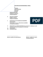 Informe Parcial de Practicas Pre Profesionales