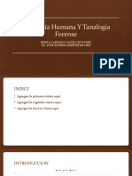 Anatomía Humana Y Tanalogia Forense