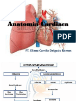 Anatomia Cardiaca