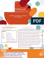 Identifikasi Staphylococcus