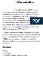 Epidermal Differentiation Complex - Wikipedia