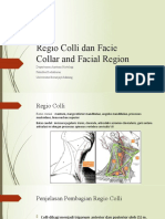 Regio Colli Facie FKG