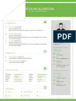 Plantilla Curriculum Vitae 5