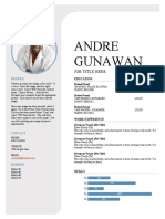 Andre Gunawan: Job Title Here