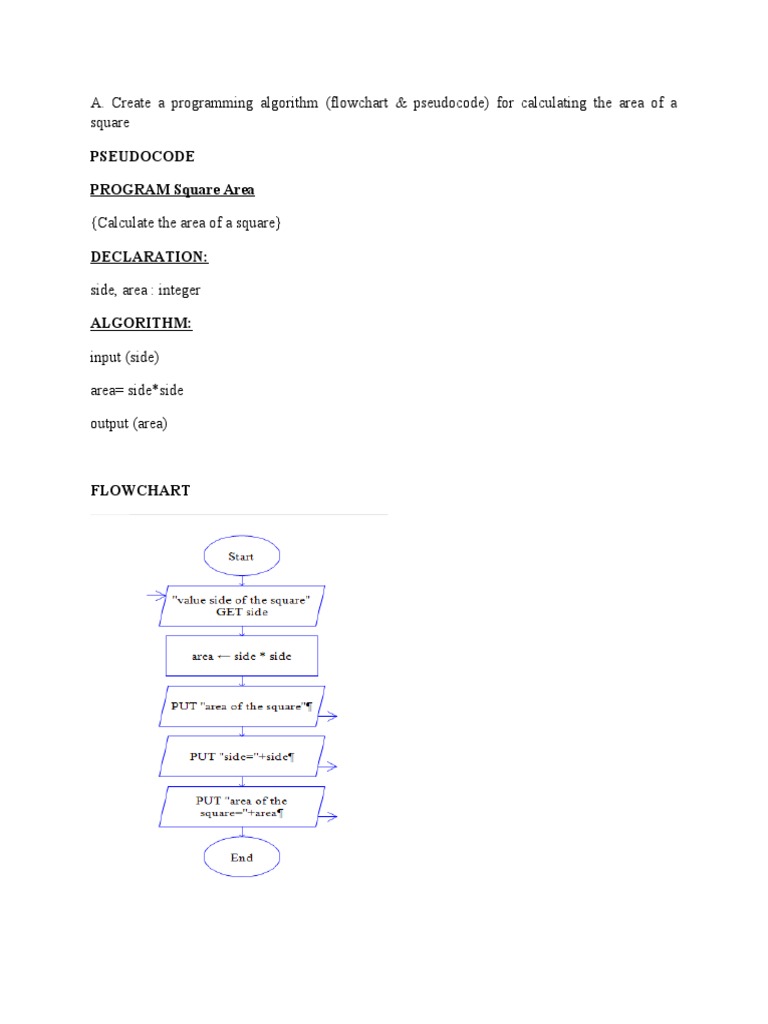 Area of Square: Algorithm & Pseudocode | PDF
