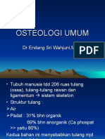 Osteologi Umum