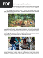 Tradisi Huyula dalam Gotong Royong Gorontalo | PDF | Sejarah | Agama ...