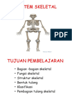 Skeletal