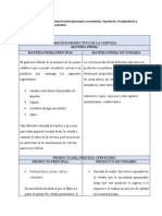 Paso 2 - Cuadro Proceso Productivo de La Cerveza