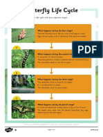 T L 51704 Butterfly Life Cycle Differentiated Reading Comprehension Activity