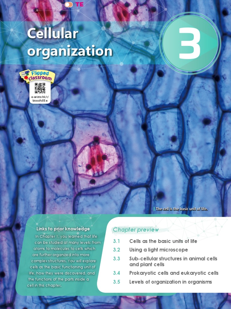 Chapter 3 (For Chapter 2 LG) Reference | PDF | Endoplasmic Reticulum ...
