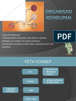 Organisasi Kehidupan dari Sel hingga Organisme