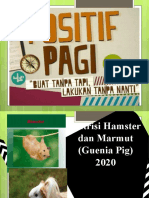 Minggu 8 - Nutrisi Hamster Dan Marmut