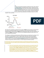 Sa Node Action Potential