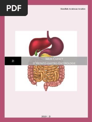Mon Carnet Gastrologie Pdf Estomac Cancer De L œsophage