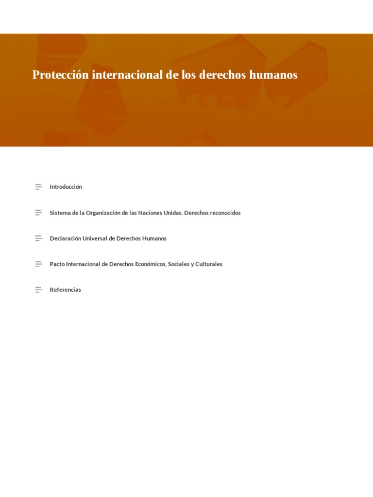 01 Protección Internacional de Los Derechos Humanos | PDF | Naciones ...