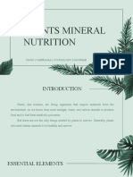 Plants Mineral Nutrition: Cago - Carriaga - Cogollodo - Daumar