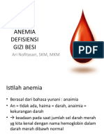 Anemia Defisiensi Gizi Besi-3