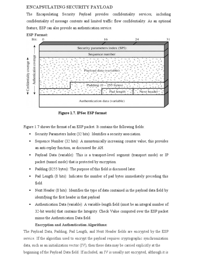 Figure 1.7. Ipsec Esp Format | PDF | Security Engineering | Cryptography