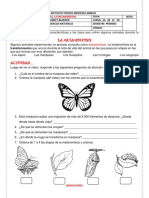 01 - 03 - 21 Metamorfosis