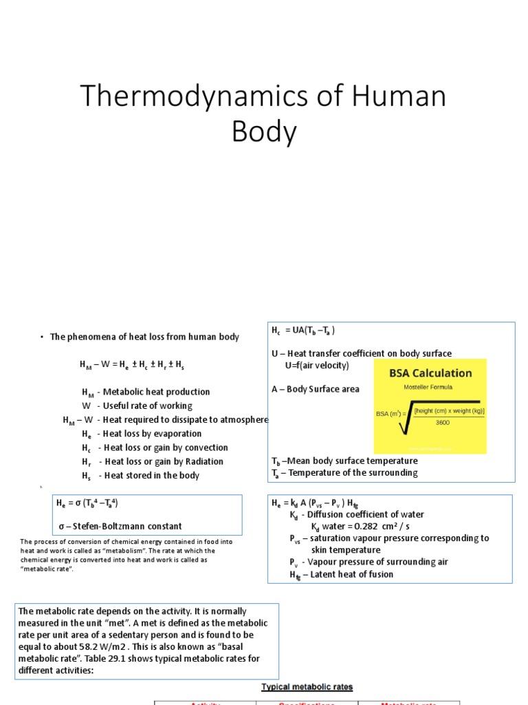 Thermodynamics of Human Body PDF Relative Humidity Heat Transfer