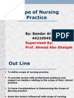 scope of nursing practice 2