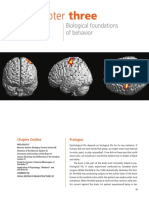 Three: Biological Foundations of Behavior