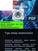 Tugas Mikrobiologi