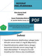 Bima Kurnia Sandi - REFERAT-HIPERBILIRUBIN