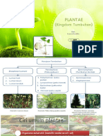 Plantae (Kingdom Tumbuhan)