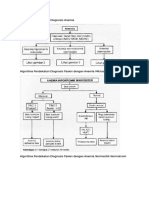 Algoritma Diagnosis Anemia