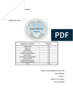 Módulo de Young hilo pescar USAC Guatemala