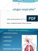 Raport Respiratie