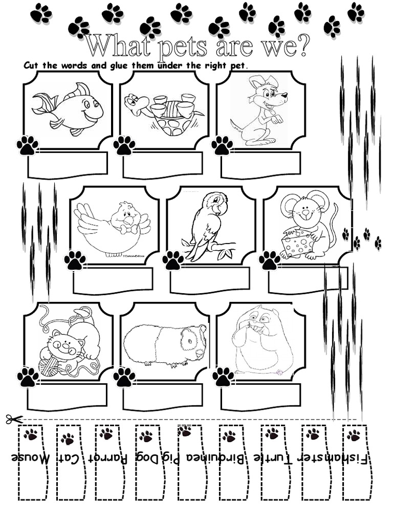 Pets Worksheet | PDF