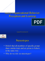 Micro-Organizational Behavior: Perception and Learning