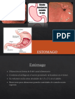 2-Anatomía y Fisiología de Estómago y Duodeno.