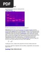 Download Elektroforesis n elktroforesis gel by Mahadir Muhammad SN49702701 doc pdf